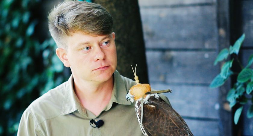 Igor Kowalski - Sokolnik