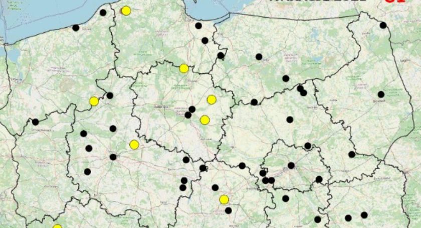 Wypadki ze skutkiem śmiertelnym – policyjna mapa pulsuje