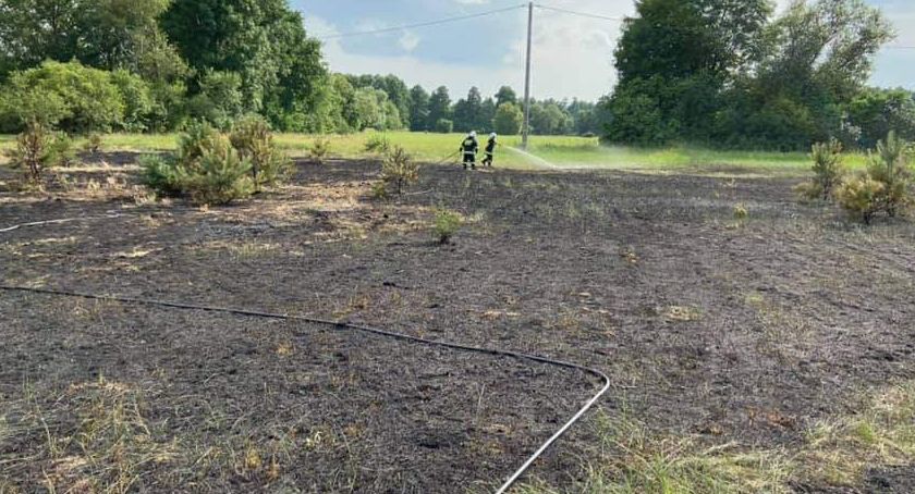 Gmina Iłów - pożar trawy 