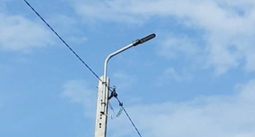 Modernizacja oświetlenia na ul. Wrzosowej w Młodzieszynie