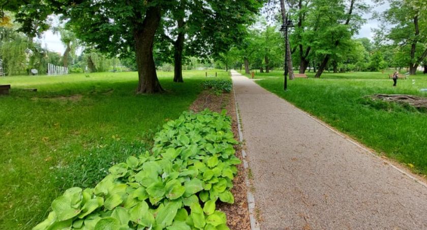 Park Garbolewskiego w Sochaczewie  - będą naprawy 