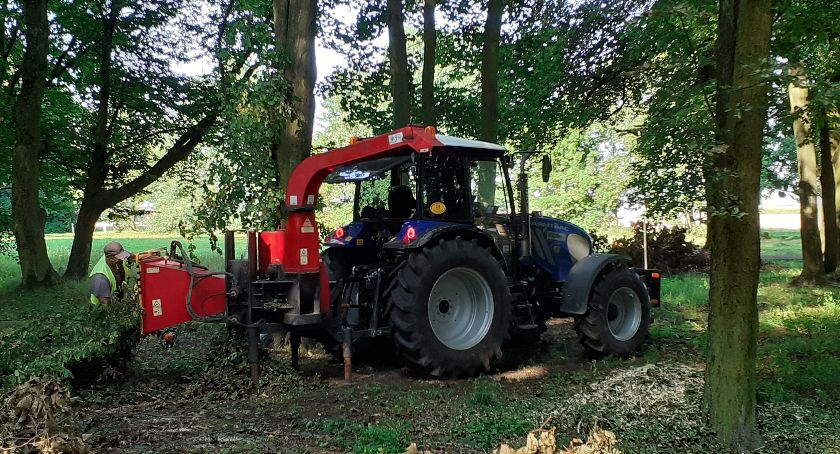 Prace porządkowe w Zabytkowym Parku w Młodzieszynie