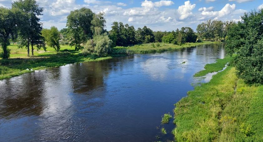 Spacer ornitologiczny w Brochowie 