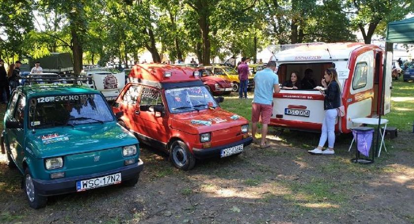 Wielka impreza charytatywna, siatkówka i liczenie ptaków, czyli co robić w Sochaczewie 2 i 3 października 2021 r.