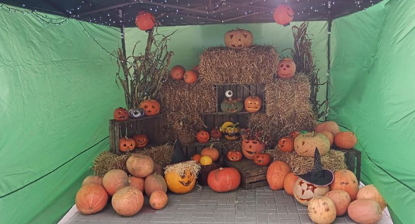 Festiwal Dyni w Niepublicznym Przedszkolu Bajkowa Polana w Sochaczewie