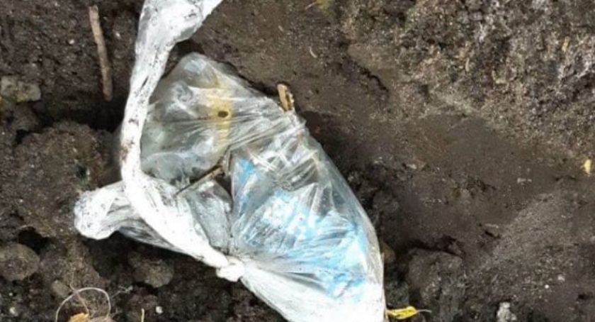Sochaczewianin okradł kościół – ma także inne zarzuty