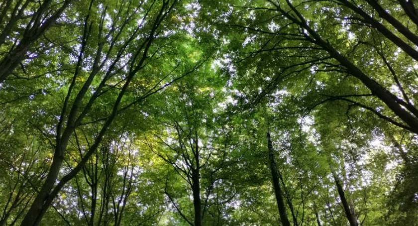 Napisz piosenkę, wygraj 10 tysięcy - Samorząd Mazowsza zaprasza do udziału w konkursie 