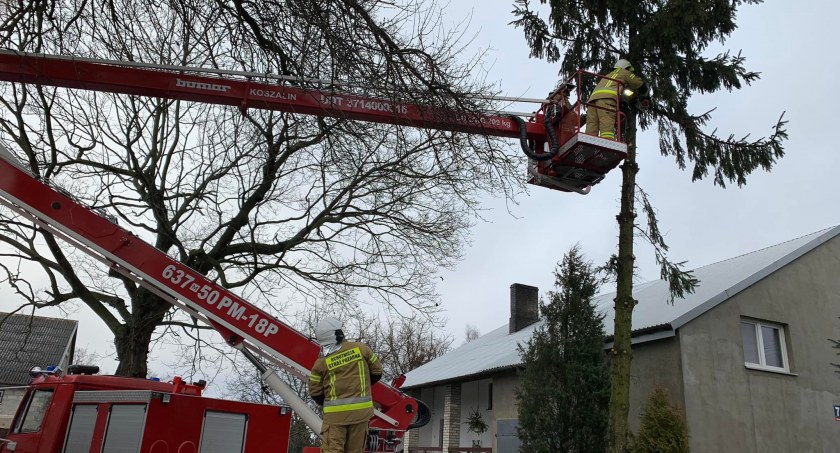 Silne wiatry w powiecie sochaczewskim 29 i 30 stycznia - strażacki bilans szkód [FOTO]