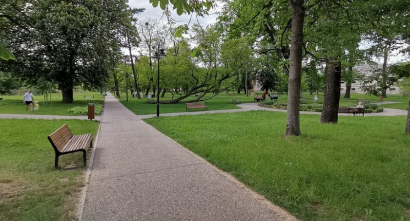 Sochaczewskie parki - do akcji wkraczają sokoły