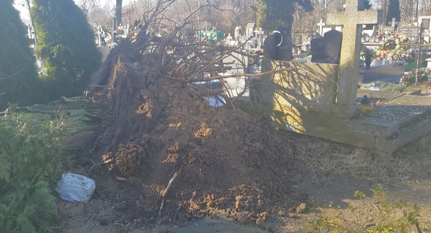 Pawłowice - zniszczony cmentarz, powalone drzewa i połamane słupy [FOTO, WIDEO]