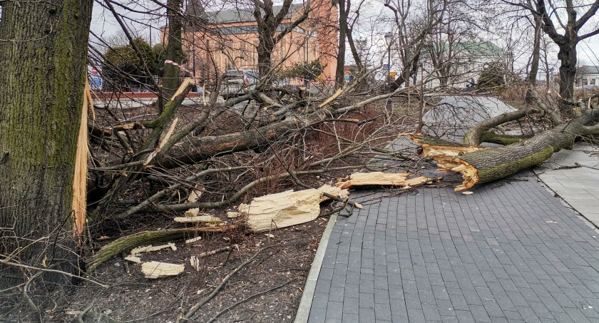 Park Chopina w Sochaczewie - duże zniszczenia po wichurze [FOTO] 