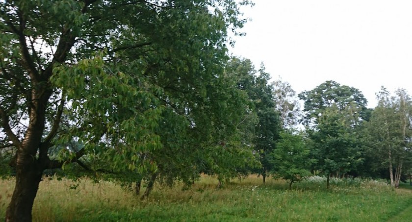Kampinoski Park Narodowy - będzie opłata za wstęp? 