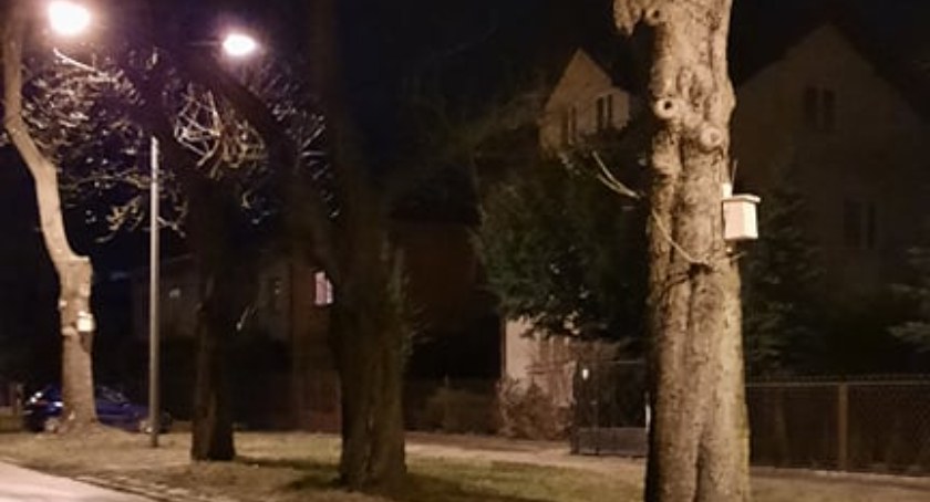 Budki lęgowe dla ptaków przy Ziemowita 