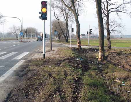 Śmierć w Topołowej