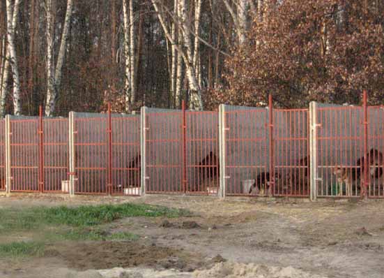 Przygarnij mnie - 24.01.2007