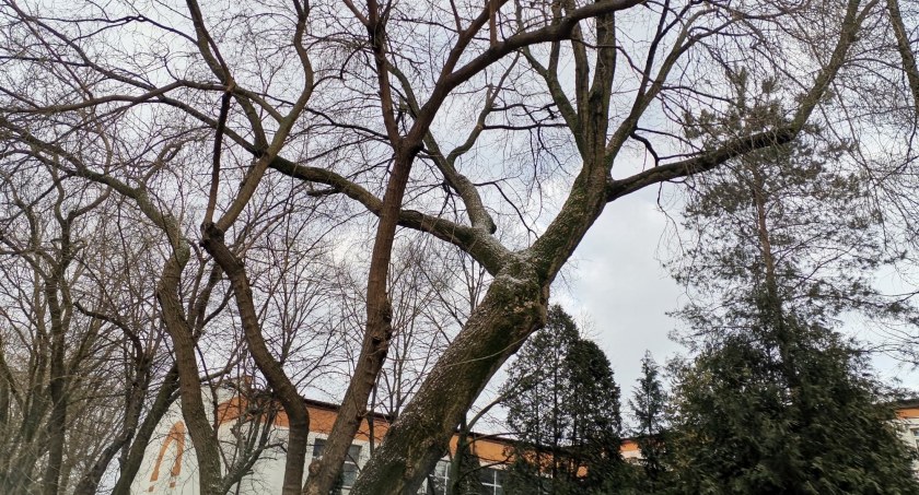 Pogoda w Sochaczewie - ostrzeżenia meteorologiczne na 4 i 7 kwietnia