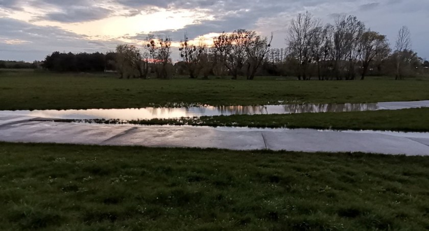 Drzewa na sochaczewskich bulwarach – wiemy kiedy się pojawią