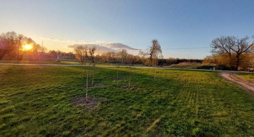 Bulwary nad Bzurą - są już nowe nasadzenia 