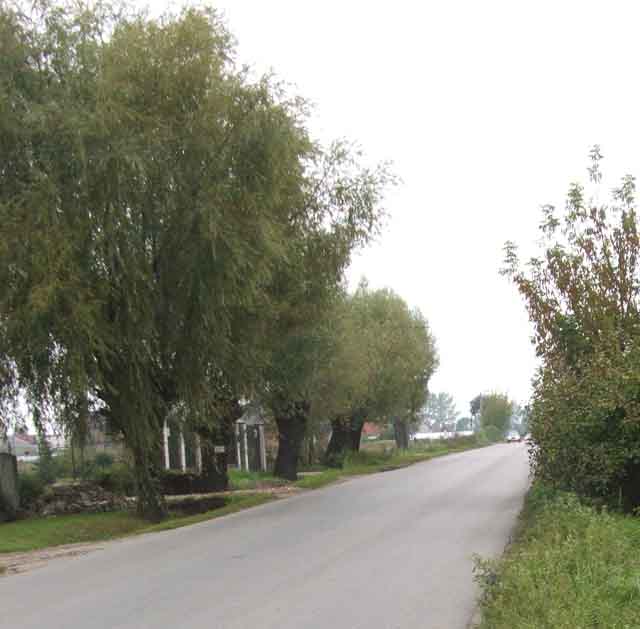 Kto da mniej na chodnik