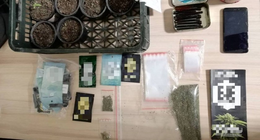 Handlarze marihuaną z powiatu sochaczewskiego zatrzymani