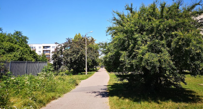 Ławeczka w zieleni - jest kasa na projekty osiedlowe 