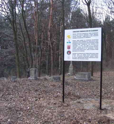 Nekropolie oczyszczone