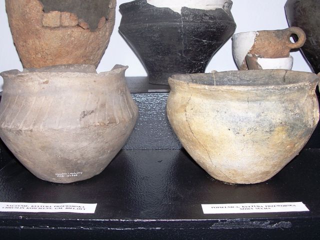 Kultura przeworska w muzeum ziemi sochaczewskiej