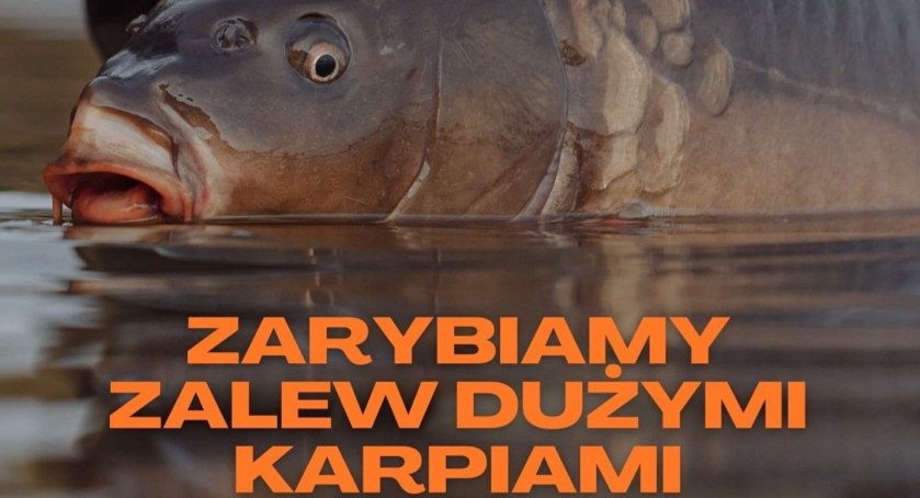 Spróbujmy reaktywować Zalew w Boryszewie - ruszyła zbiórka 
