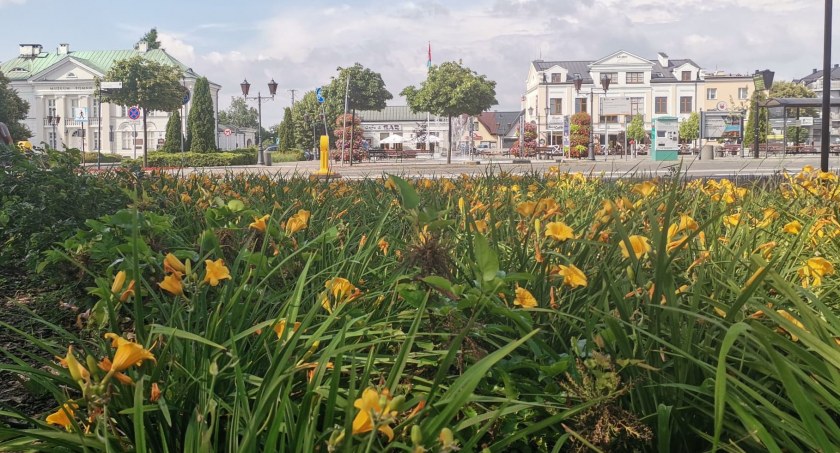 Atrakcje na weekend 25-26 czerwca w Sochaczewie i okolicach – pikniki, teatr i rowery