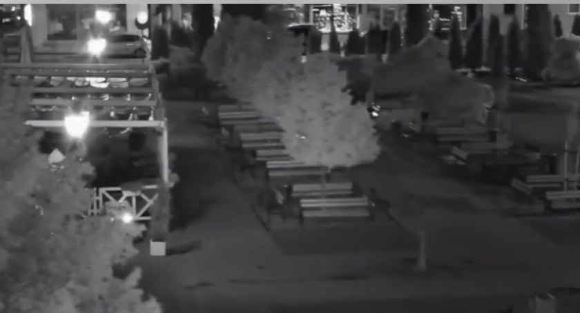 Wandale na placu Kościuszki [WIDEO] - miasto prosi o pomoc