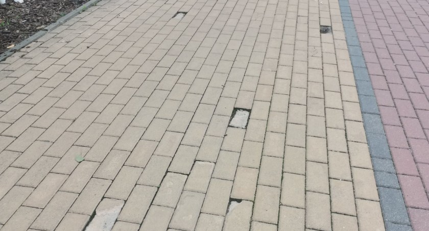 Ścieżka przy Olimpijskiej - niebezpieczna czy niekomfortowa?