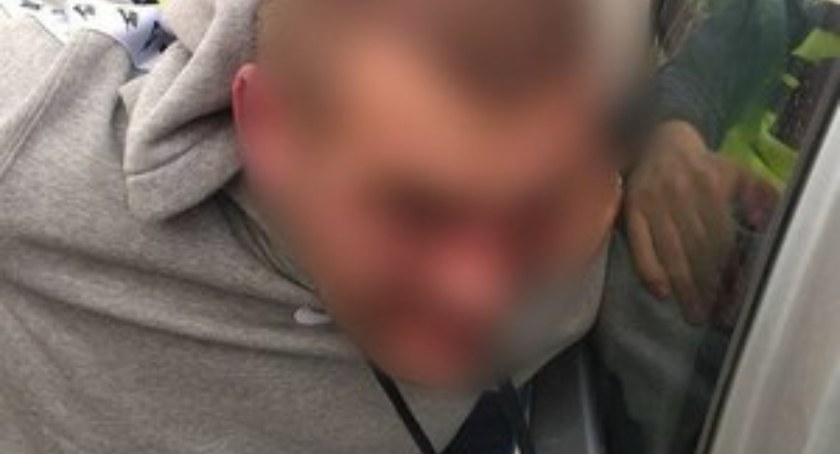 Sochaczew: próba włamania i uśmiercenie psa - podejrzany w areszcie
