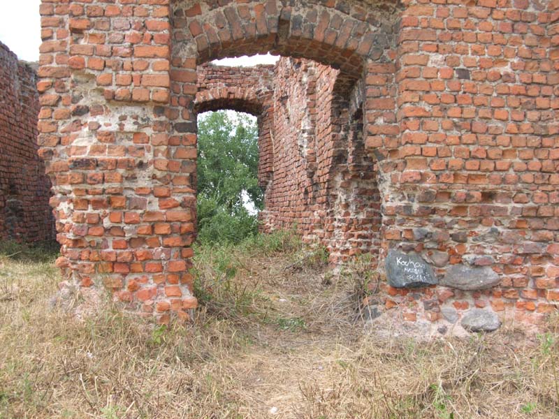 Wykopaliska 2007