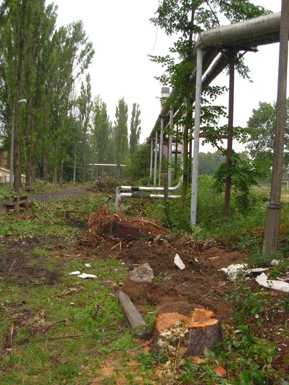 Tartak wokół stadionu – odsłona druga