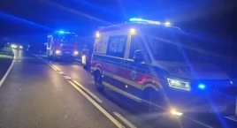 Kolizja samochodu osobowego z dziką zwierzyną w Kromnowie