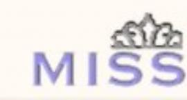 Sochaczewska Miss Internetu 2004
