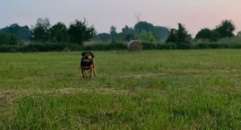 Gdzie na spacer w Sochaczewie i okolicach? 