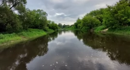 Skoczył do Bzury - nocna akcja ratunkowa w Sochaczewie