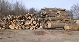 Urząd Miejski w Sochaczewie rozdaje drewno opałowe