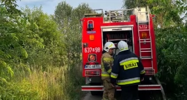 Czarny dym nad gliniankami i tarasujący drogę konar &hellip;