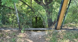 Anarchia pod ogólniakiem – znamy stanowisko dyrektor&hellip;
