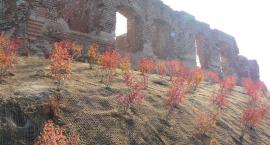 Urok odresteurowanych ruin naszego zamku