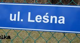 W lesie z ulicą Leśną