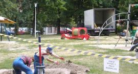 Ogródek bogatszy