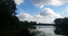 Będą wycinać nad zalewem