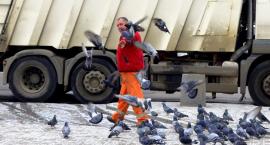 Kevin sam w Sochaczewie