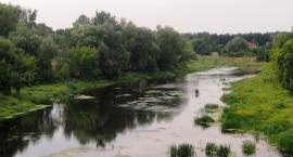 SBO 2016 – plaża miejska czy miasteczko rowerowe?