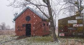 Profanacja i wandalizm na cmentarzu żydowskim w Sochaczewie