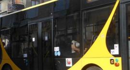 Autobusem miejskim do Kampinosu
