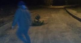 Remont Granicznej: o choinko, ratujmy tyłki